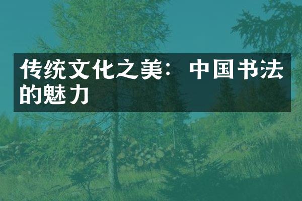 传统文化之美：中国书法的魅力