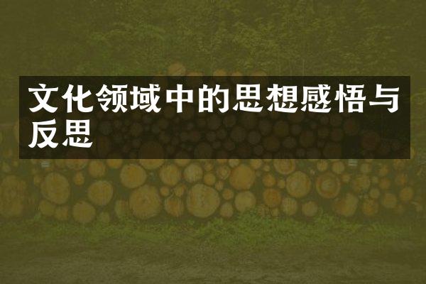 文化领域中的思想感悟与反思