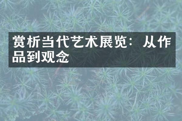 赏析当代艺术展览：从作品到观念