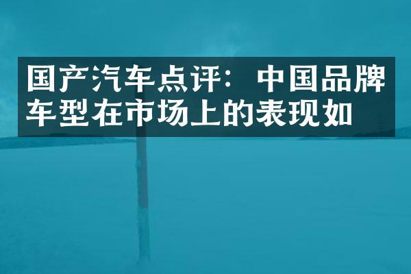 国产汽车点评：品牌车型在市场上的表现如何