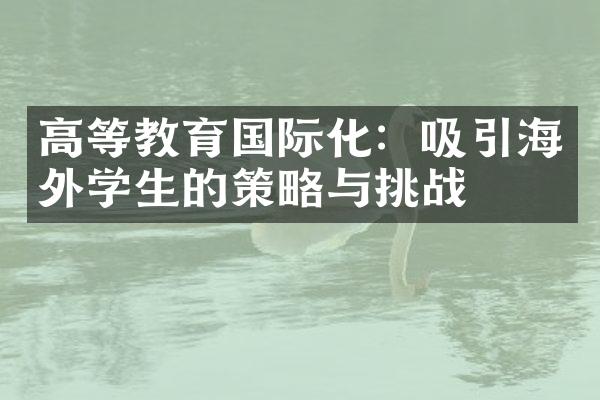 高等教育国际化：吸引海外学生的策略与挑战