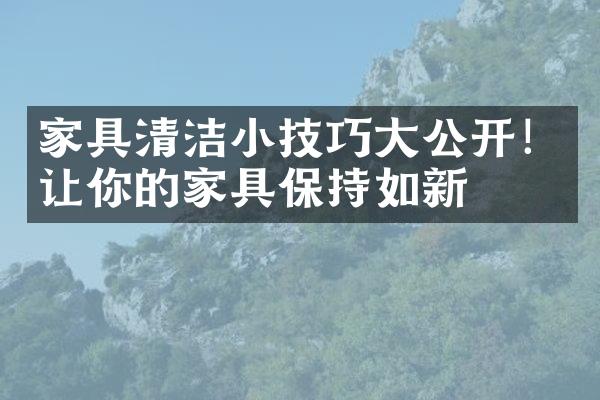 家具清洁小技巧大公开！让你的家具保持如新