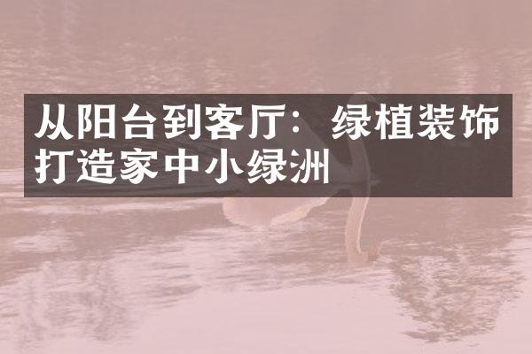 从阳台到客厅：绿植装饰打造家中小绿洲