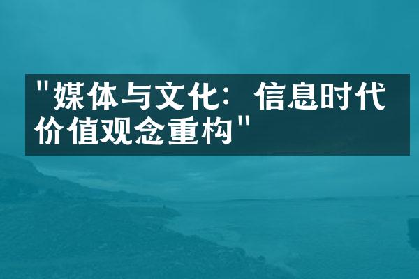 "媒体与文化：信息时代的价值观念重构"