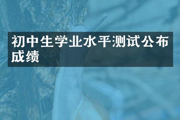 初中生学业水平测试公布成绩