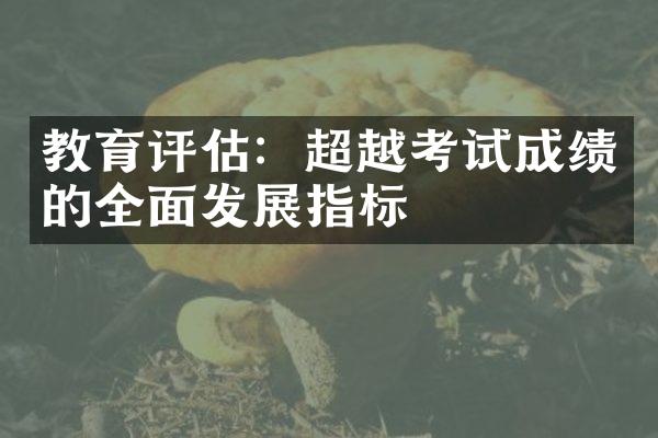 教育评估：超越考试成绩的全面发展指标