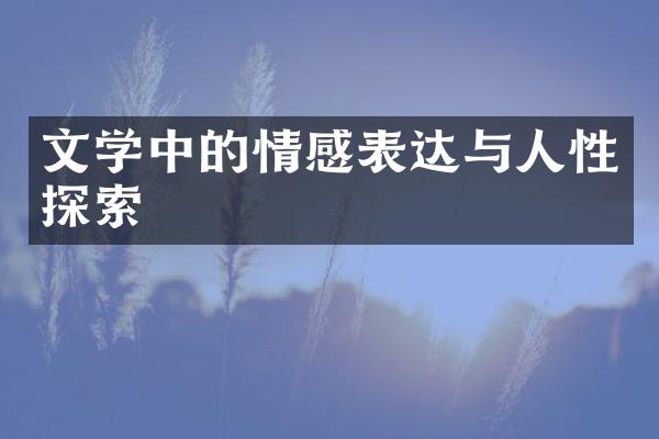 文学中的情感表达与人性探索