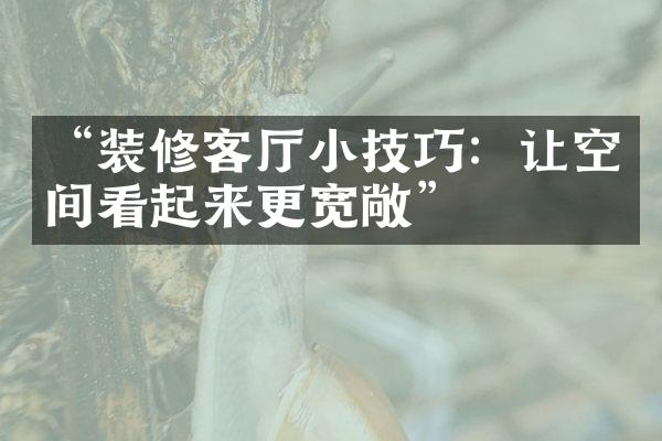 “装修客厅小技巧：让空间看起来更宽敞”