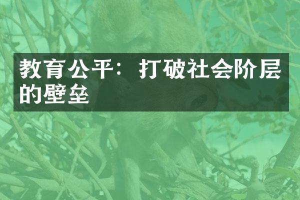 教育公平：打破社会阶层的壁垒