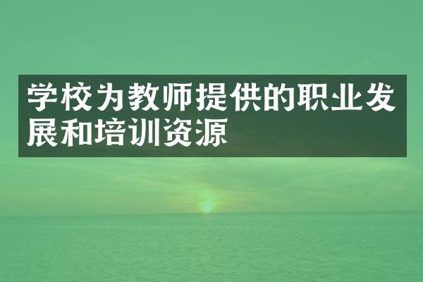 学校为教师提供的职业发展和培训资源