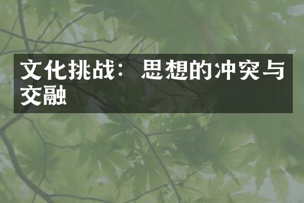 文化挑战：思想的冲突与交融