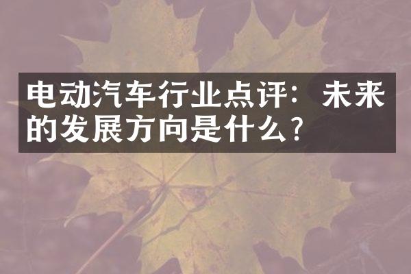 电动汽车行业点评：未来的发展方向是什么？