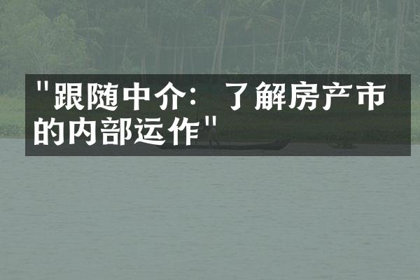 "跟随中介：了解房产市场的内部运作"