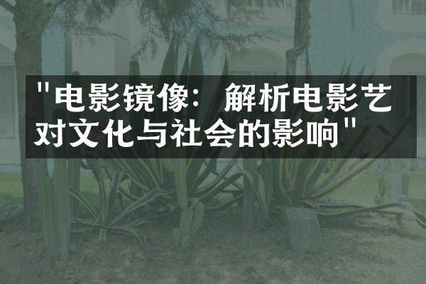 "电影镜像：解析电影艺术对文化与社会的影响"