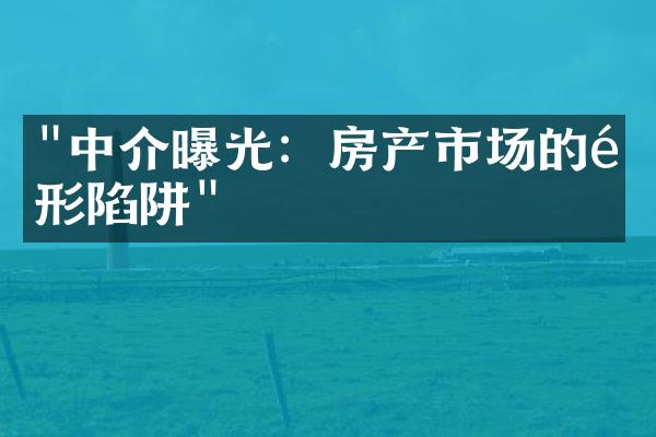 "中介曝光：房产市场的隐形陷阱"