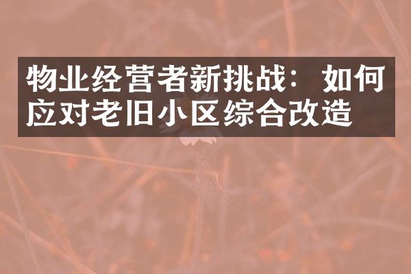 物业经营者新挑战：如何应对老旧小区综合改造？