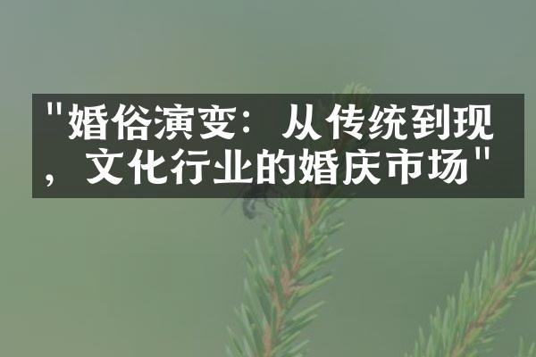 "婚俗演变：从传统到现代，文化行业的婚庆市场"