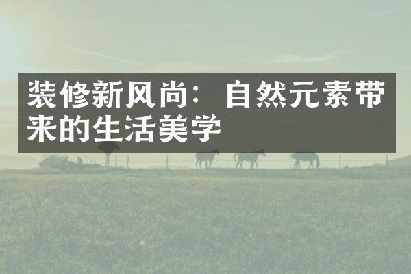 装修新风尚：自然元素带来的生活美学