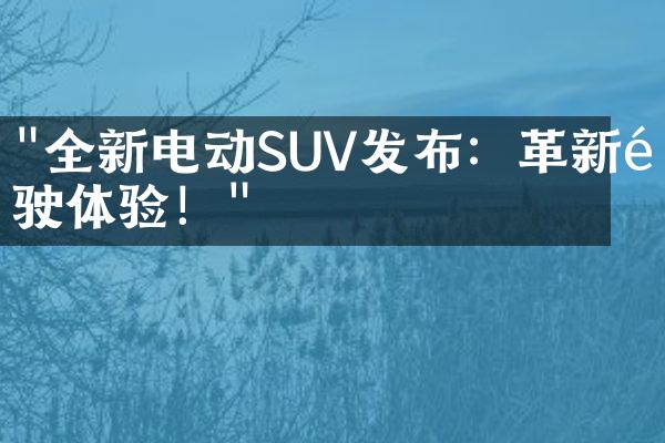 "全新电动SUV发布：革新驾驶体验！"