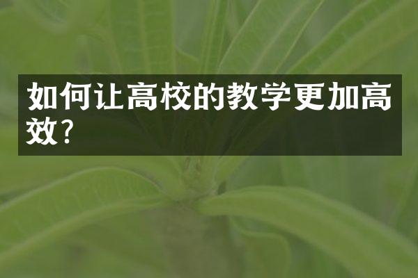 如何让高校的教学更加高效？