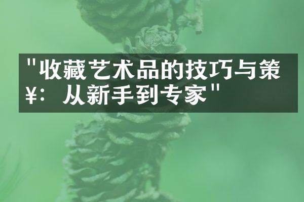 "收藏艺术品的技巧与策略：从新手到专家"