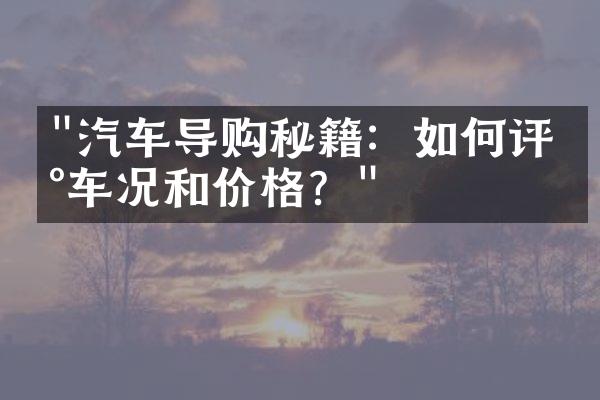 "汽车导购秘籍：如何评估车况和价格？"