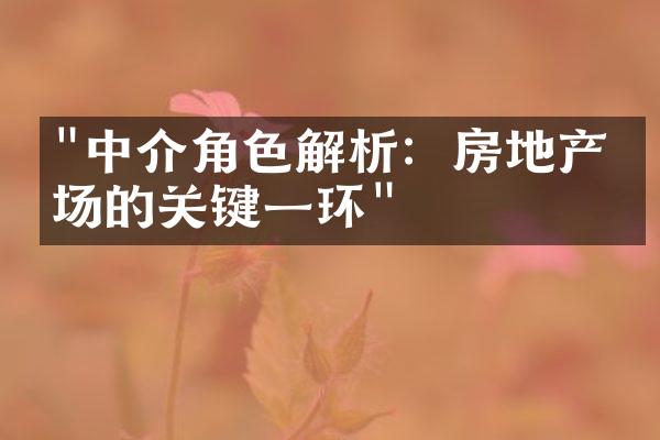 "中介角色解析：房地产市场的关键一环"