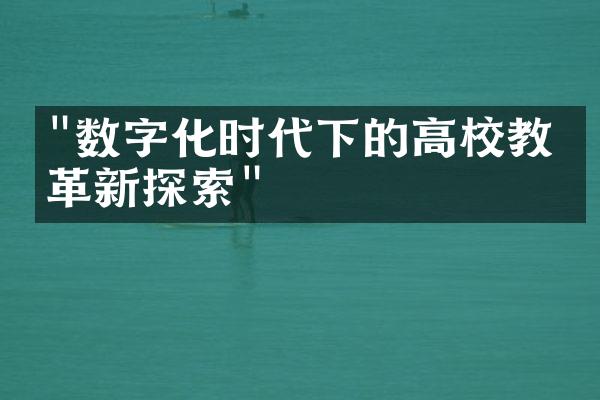 "数字化时代下的高校教学革新探索"