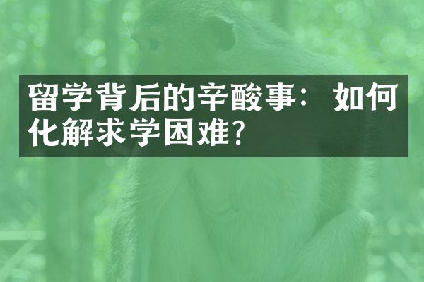 留学背后的辛酸事：如何化解求学困难？