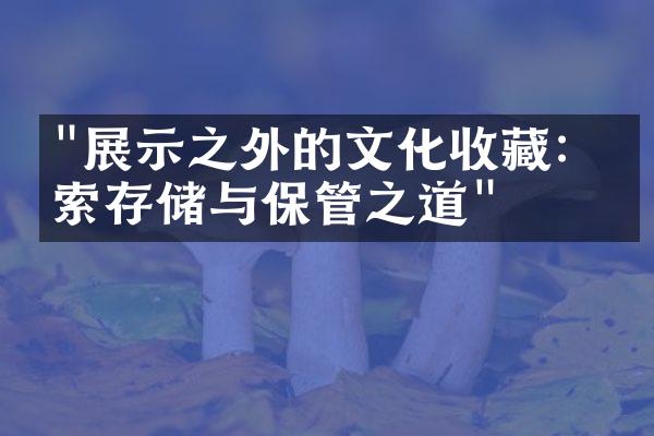 "展示之外的文化收藏：探索存储与保管之道"