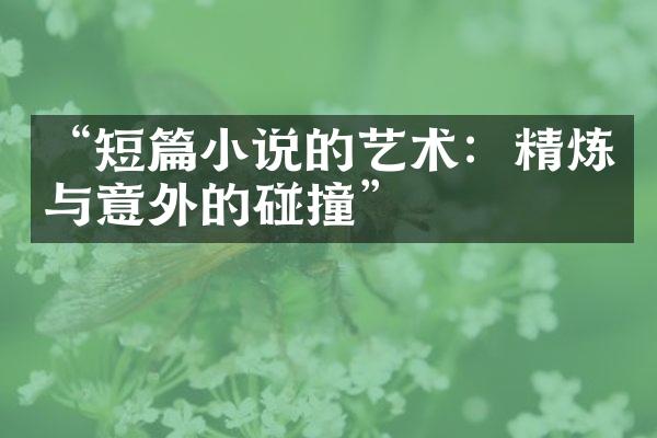 “短篇小说的艺术：精炼与意外的碰撞”