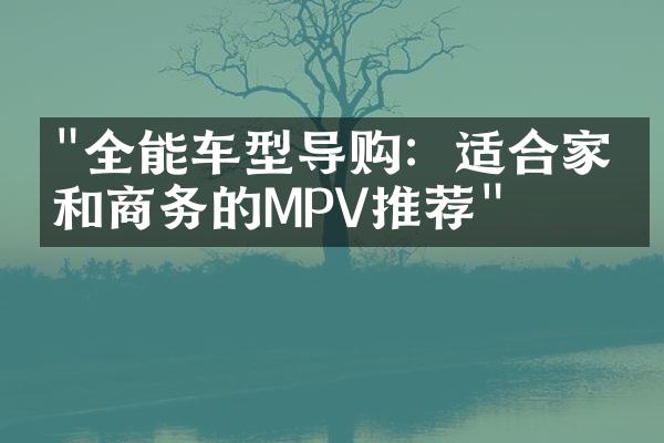 "全能车型导购：适合家庭和商务的MPV推荐"