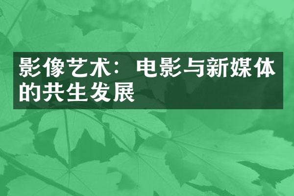 影像艺术：电影与新媒体的共生发展