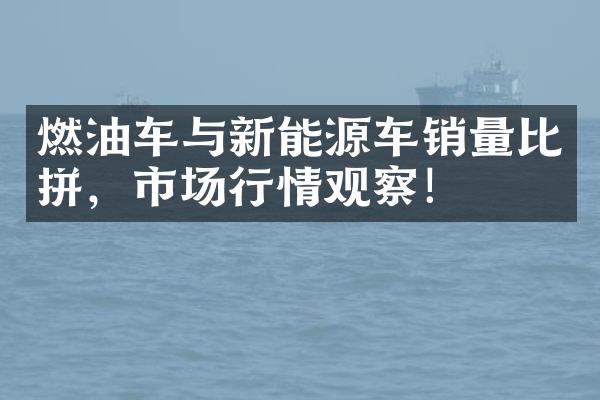 燃油车与新能源车销量比拼，市场行情观察！