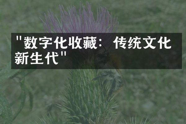 "数字化收藏：传统文化的新生代"