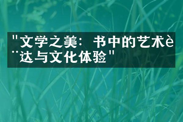 "文学之美：书中的艺术表达与文化体验"