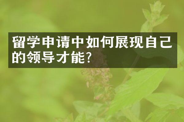 留学申请中如何展现自己的领导才能？