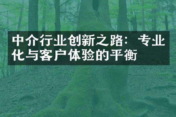 中介行业创新之路：专业化与客户体验的平衡