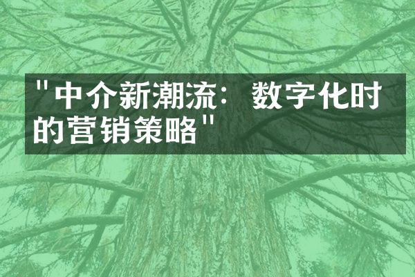 "中介新潮流：数字化时代的营销策略"