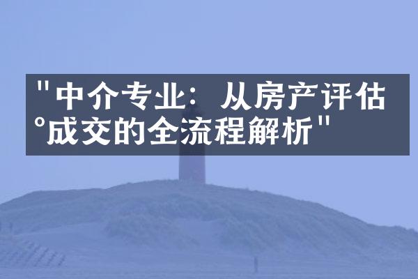 "中介专业：从房产评估到成交的全流程解析"