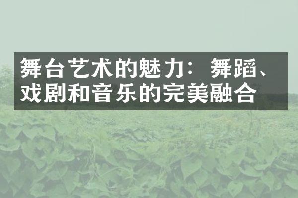 舞台艺术的魅力：舞蹈、戏剧和音乐的完美融合