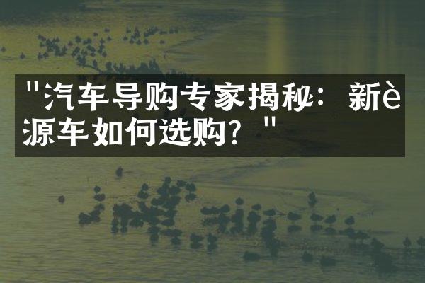 "汽车导购专家揭秘：新能源车如何选购？"