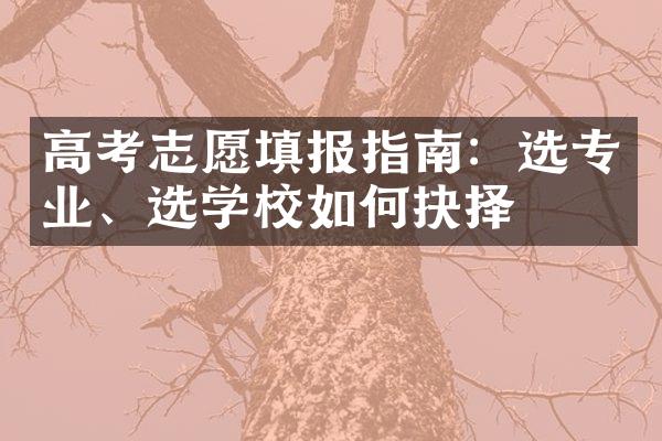 高考志愿填报指南：选专业、选学校如何抉择