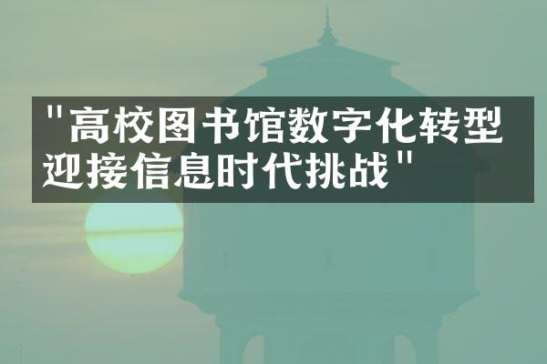 "高校图书馆数字化转型：迎接信息时代挑战"