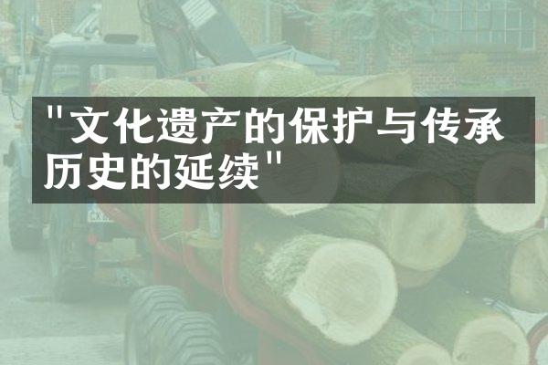 "文化遗产的保护与传承：历史的延续"