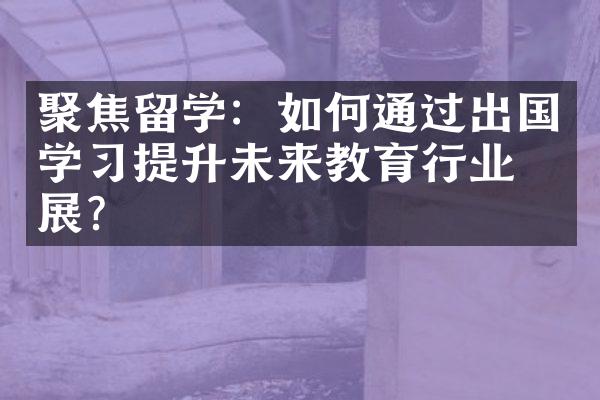 聚焦留学：如何通过出国学提升未来教育行业发展？