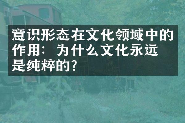 意识形态在文化领域中的作用：为什么文化永远不是纯粹的？