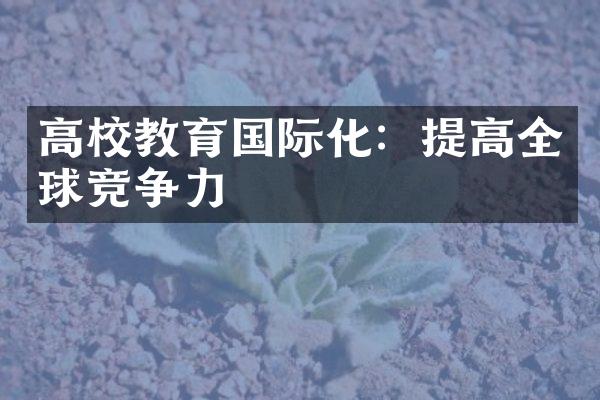 高校教育国际化：提高全球竞争力