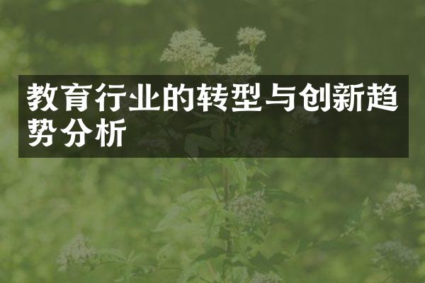 教育行业的转型与创新趋势分析