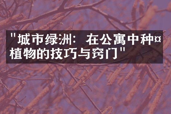 "城市绿洲：在公寓中种植植物的技巧与窍门"